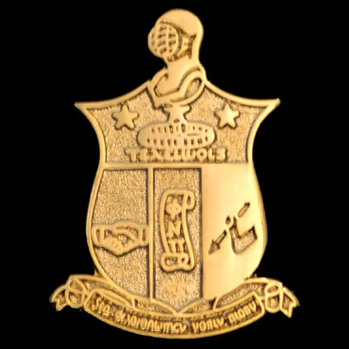 G595-KAPPA ALPHA PSI Sandblast Gold Shield Pin 195
