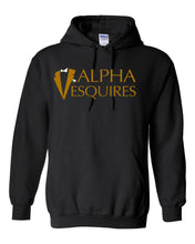 Load image into Gallery viewer, Alpha Esquire-Hooded Sweater