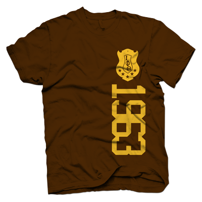 Iota Phi Theta CREST YEAR VERT T-shirt