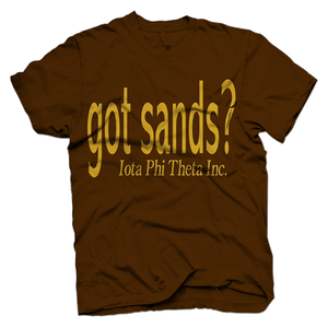 Iota Phi Theta GOT SANDS T-shirt