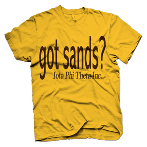 Iota Phi Theta GOT SANDS T-shirt