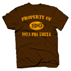 Iota Phi Theta PROPERTY OF VINTAGE T-shirt