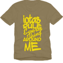 Load image into Gallery viewer, Iota Phi Theta EVERYTHING AROUND ME T-shirt