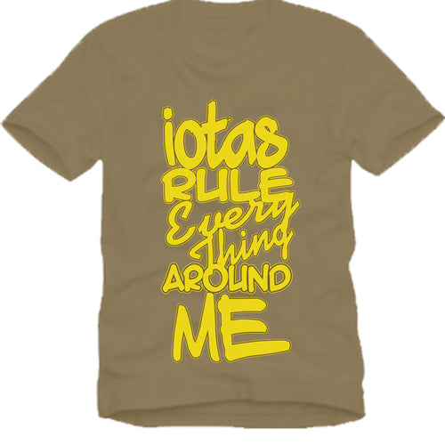 Iota Phi Theta EVERYTHING AROUND ME T-shirt