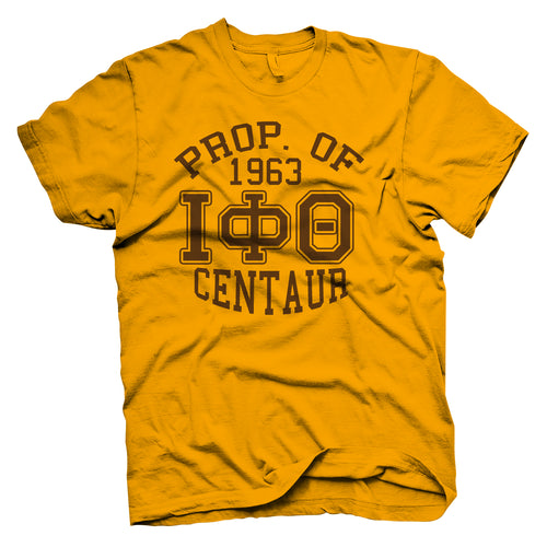 Iota Phi Theta PROPERTY OF VARSITY T-shirt