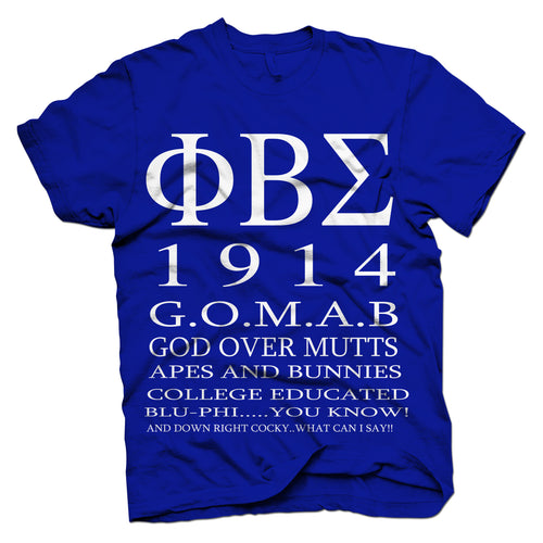 Phi Beta Sigma Chapter 11 ALL I SEE T-shirt