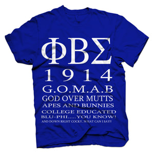 Phi Beta Sigma ALL I SEE T-shirt