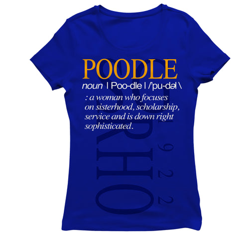 Sigma Gamma Rho Definition T-shirt